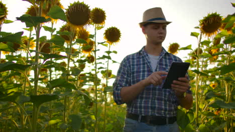 The-camera-follows-and-moves-a-male-farmer-with-a-tablet.-The-farmer-goes-in-front-of-the-camera-with-a-tablet-and-uses-modern-technology-for-his-small-business.